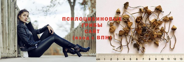 МДПВ Краснотурьинск