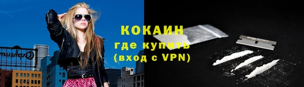 сатива Долгопрудный