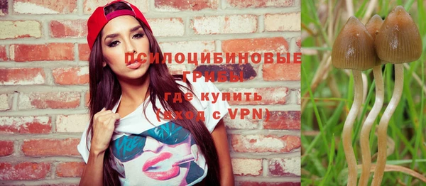 mdpv Коряжма
