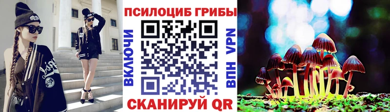 Псилоцибиновые грибы Psilocybe  маркетплейс состав  Лангепас 