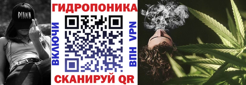 Канабис семена  Лангепас 